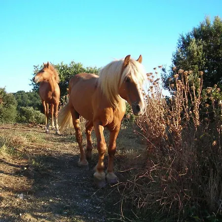 Appartement Locazione Turistica Hill's Paradise *